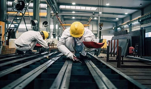 Buharkent Fare İlaçlama